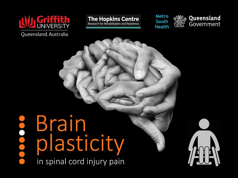 Brain Plasticity In Spinal Cord Injury Pain - Hopkins Centre